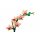 LEGO® 10343 Mini-Orchidee