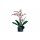 LEGO® 10311 Orchidee