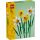 LEGO® 40747 Narzissen